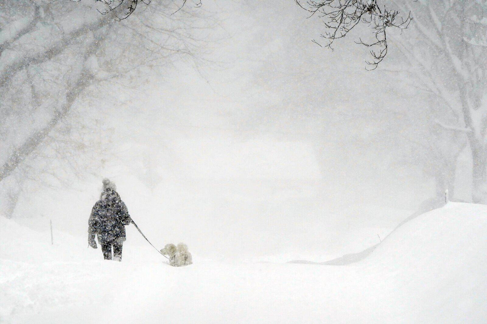 A snowy walk